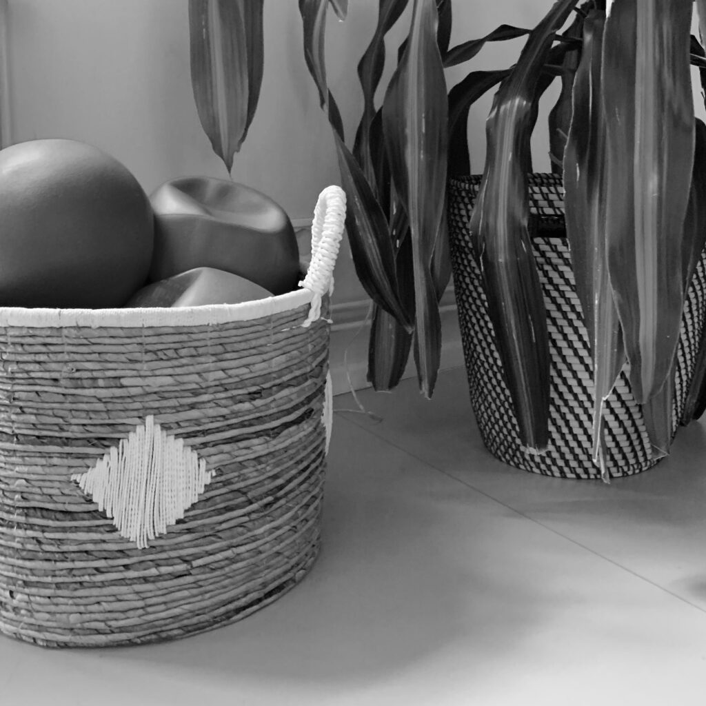 Small equipment for a Pilates studio. Small Pilates balls in a beautiful, woven basket. Next to it is a large palm tree.