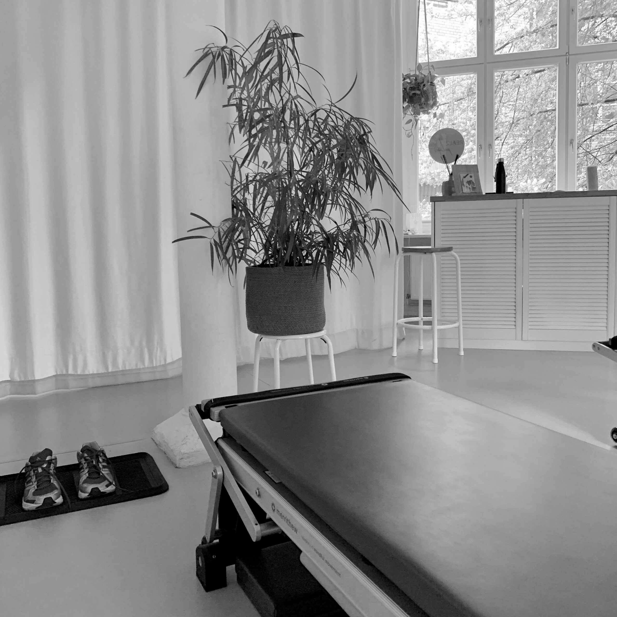 Ambience and atmosphere in the Pilates studio, with green plants and clear lines.