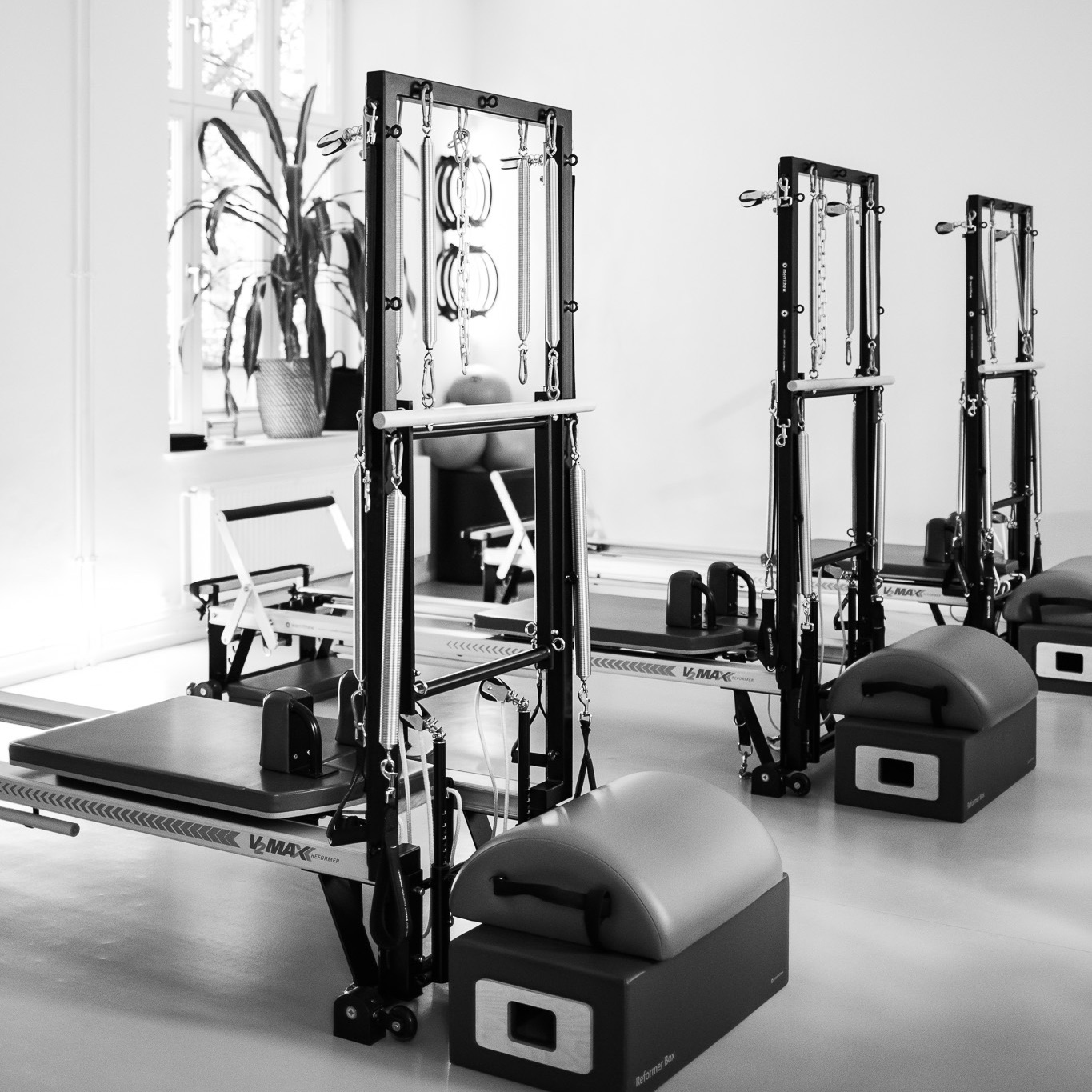 Ein ausgestattetes Pilates Geräte Studio mit Pilates Reformern, Pilates Tower Unit Wall, Boxen, Arc Barrels und vielen Kleingeräten. In einer hellen Atmosphäre und vielen Pflanzen.